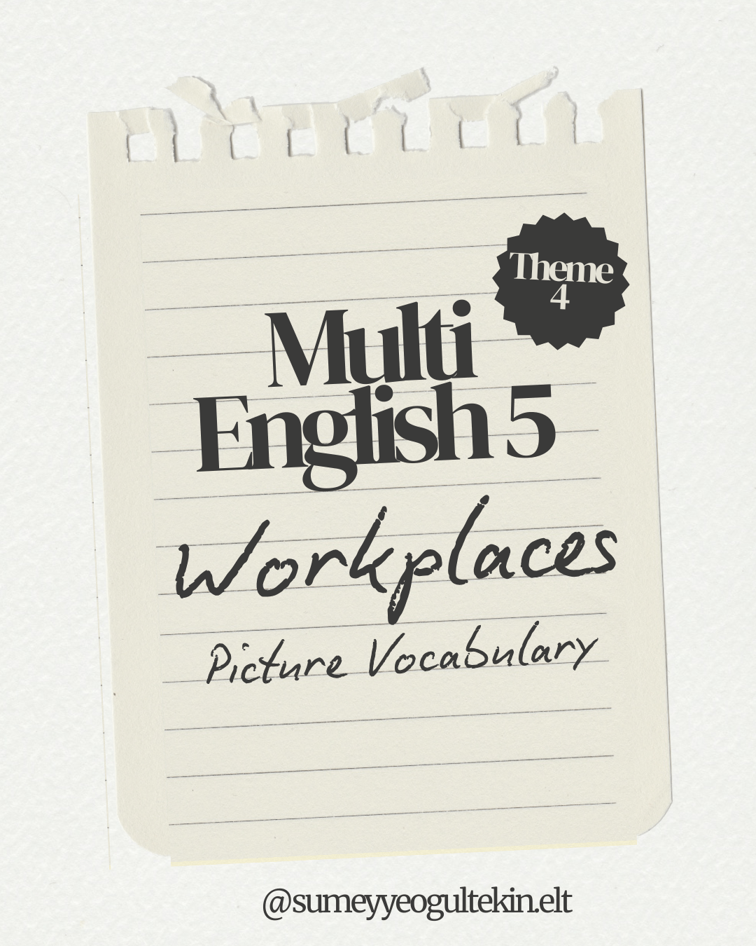Multi English 5 - Theme 4 Workplaces (Picture Vocabulary)
